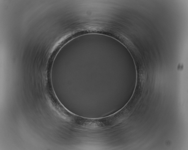 X0000113280488200909211043