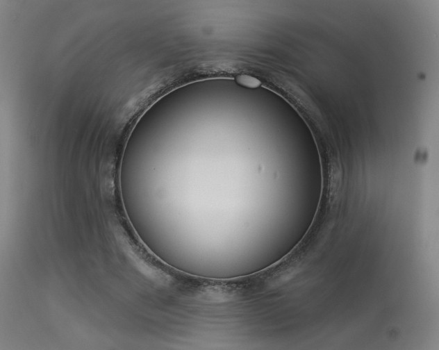 X0000113280489200909211043