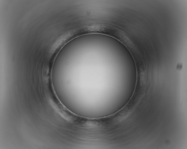 X0000113280490200909211043