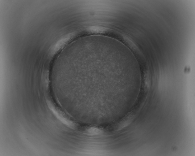 X0000113280494200909211043