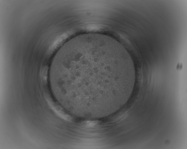 X0000113280495200909211043