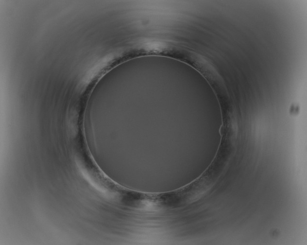 X0000113280496200909211043