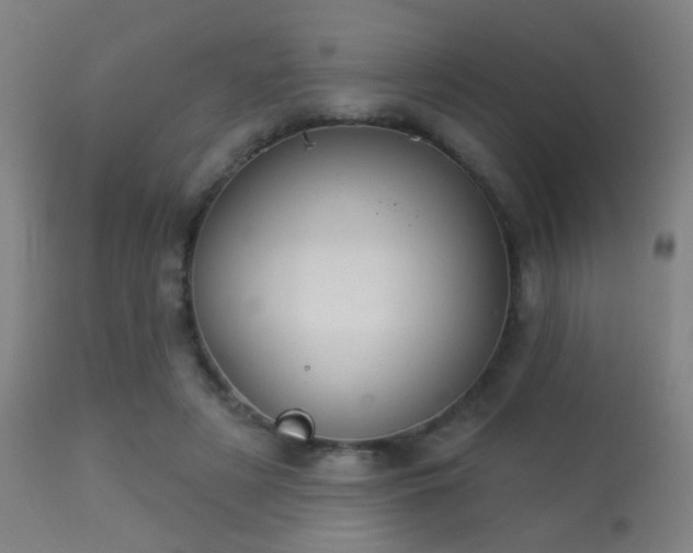 X0000113280497200909211043