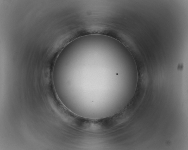 X0000113280498200909211043