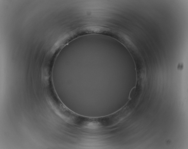 X0000113280500200909211043