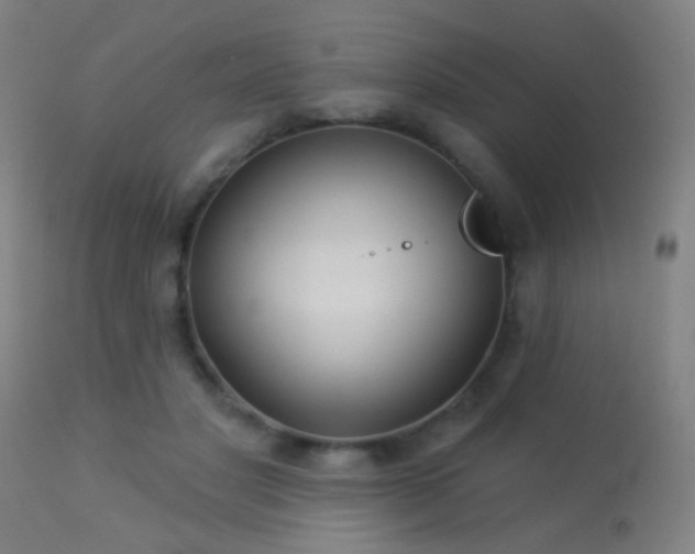 X0000113280501200909211043