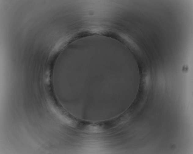 X0000113280502200909211043