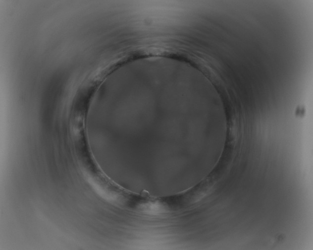 X0000113280503200909211042