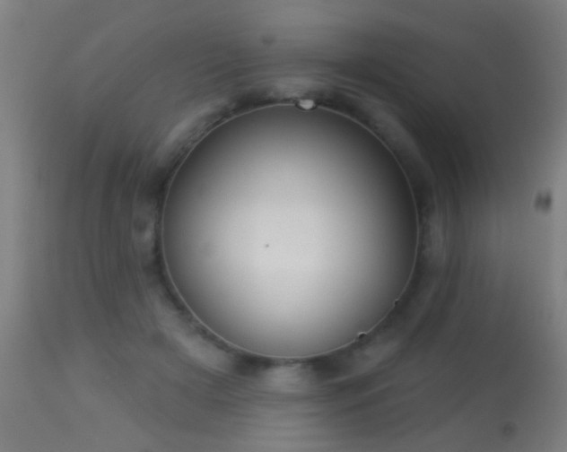 X0000113280505200909211042