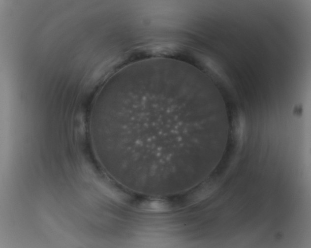 X0000113280506200909211042