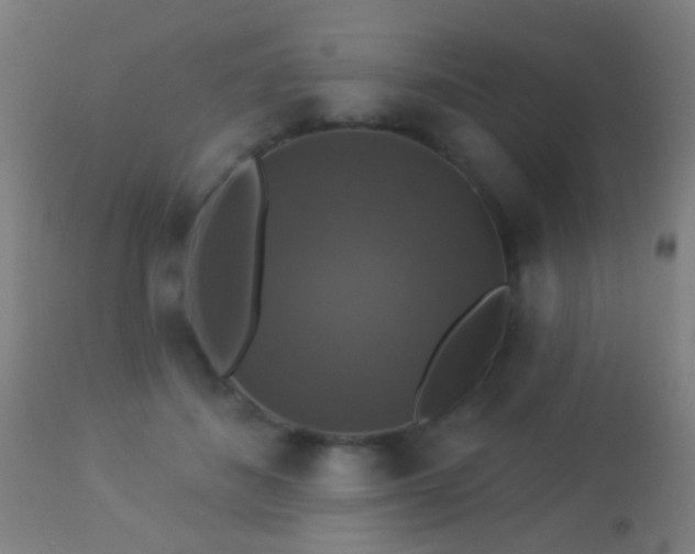 X0000113280508200909211042