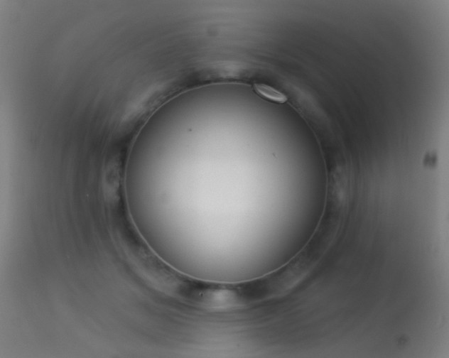 X0000113280509200909211042