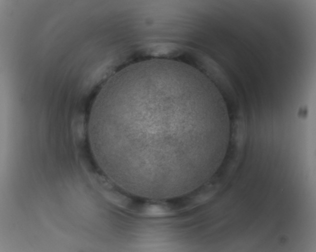 X0000113280510200909211042