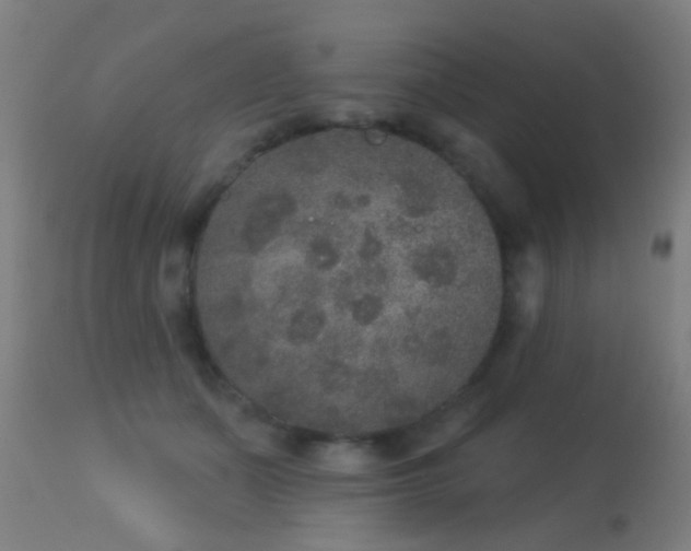 X0000113280511200909211042