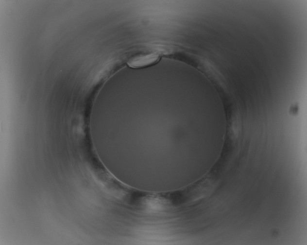 X0000113280512200909211042