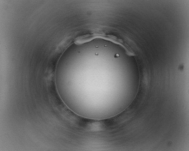 X0000113280513200909211042