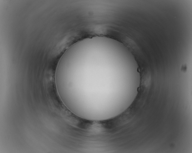 X0000113280518200909211042