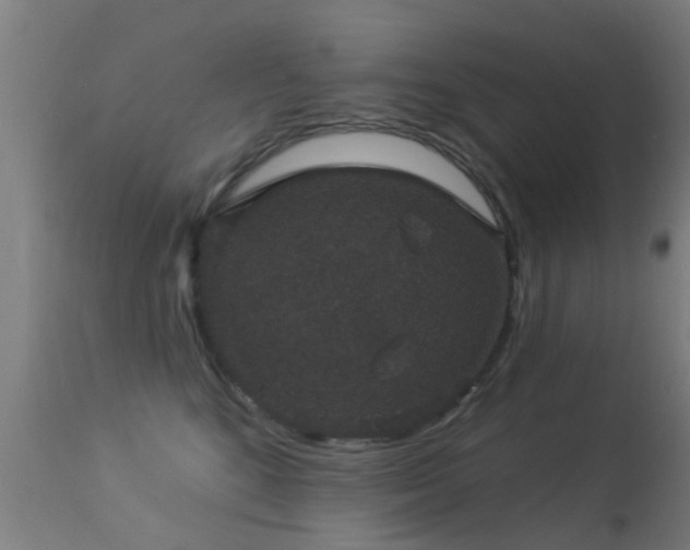 X0000113280520200909211042