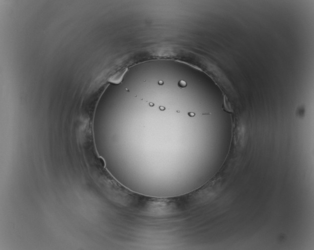 X0000113280521200909211042