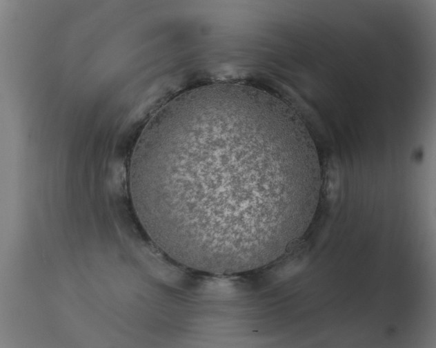 X0000113280523200909211042