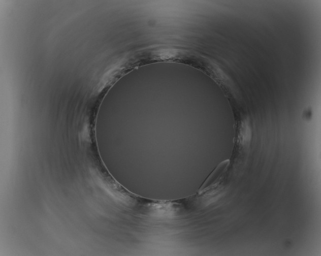 X0000113280524200909211042