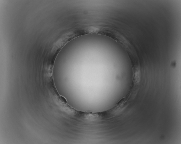 X0000113280525200909211042