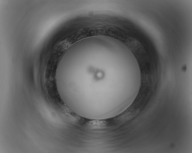 X0000113280526200909211042