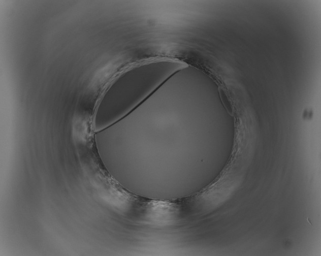 X0000113280528200909211042