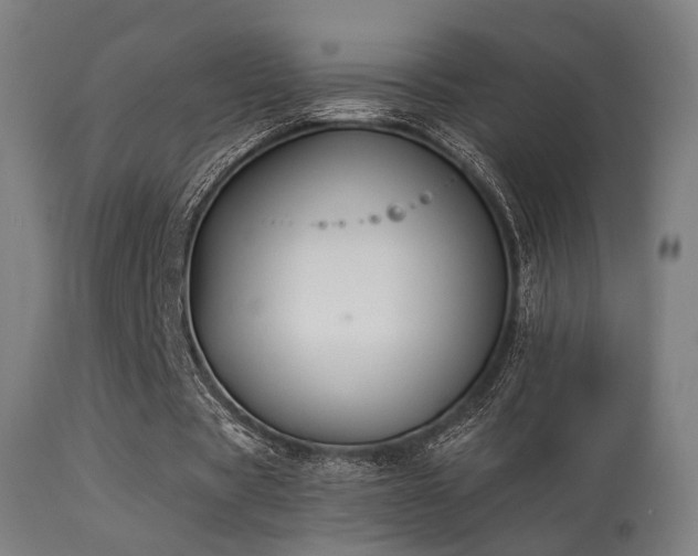 X0000113280529200909211041