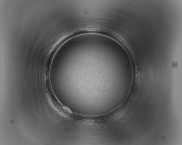 X0000113280530200909211041