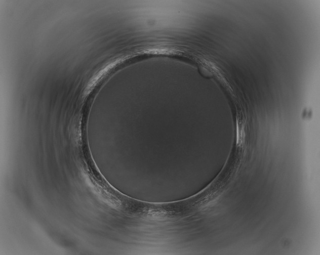 X0000113280531200909211042