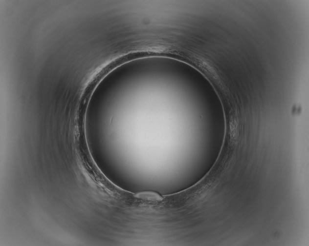 X0000113280532200909211042