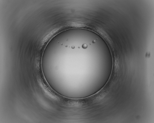 X0000113280533200909211042