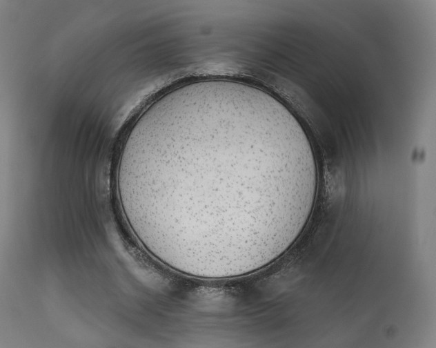 X0000113280534200909211042