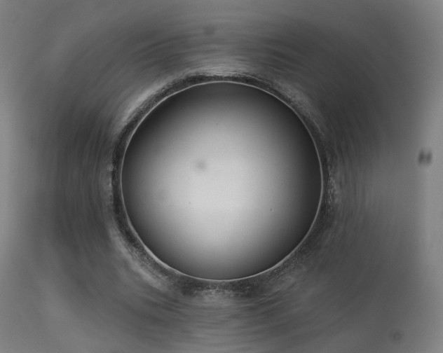 X0000113280535200909211042