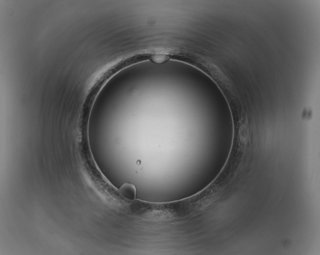 X0000113280536200909211042