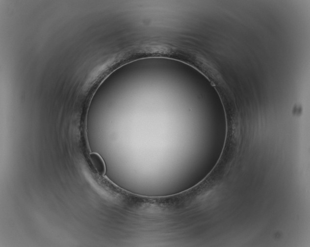 X0000113280538200909211042