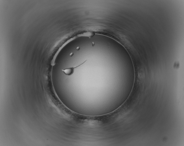 X0000113280539200909211042