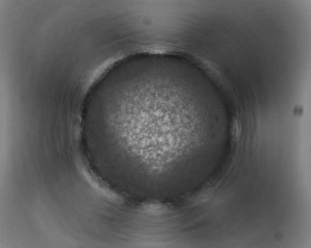 X0000113280540200909211042