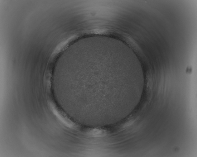 X0000113280542200909211042