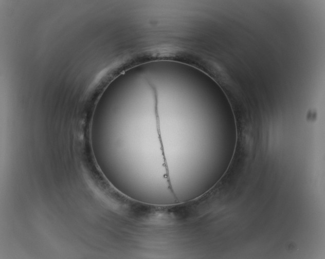 X0000113280543200909211042