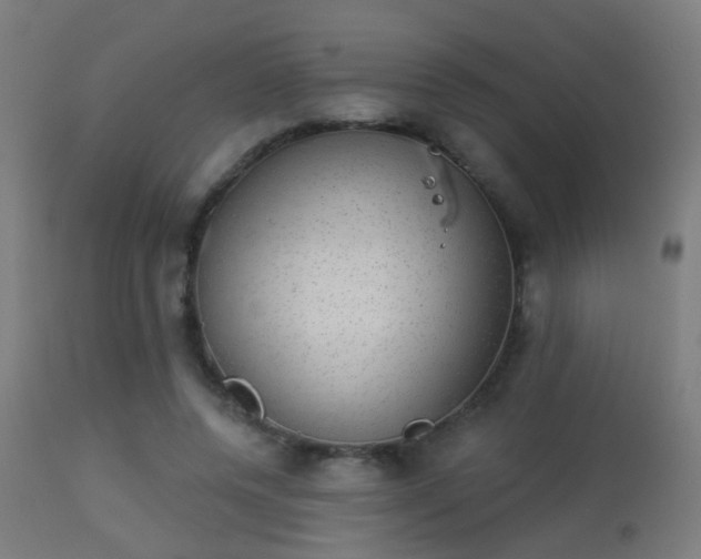 X0000113280544200909211042