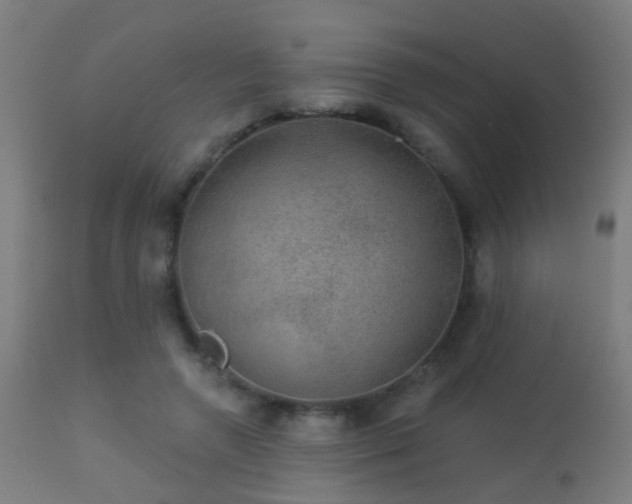 X0000113280546200909211042