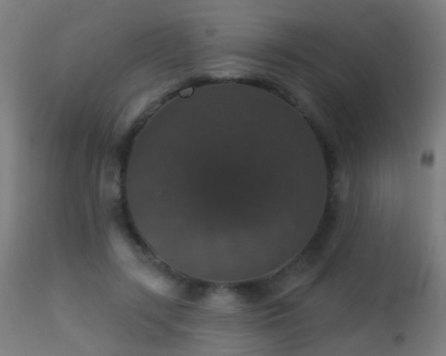 X0000113280547200909211042