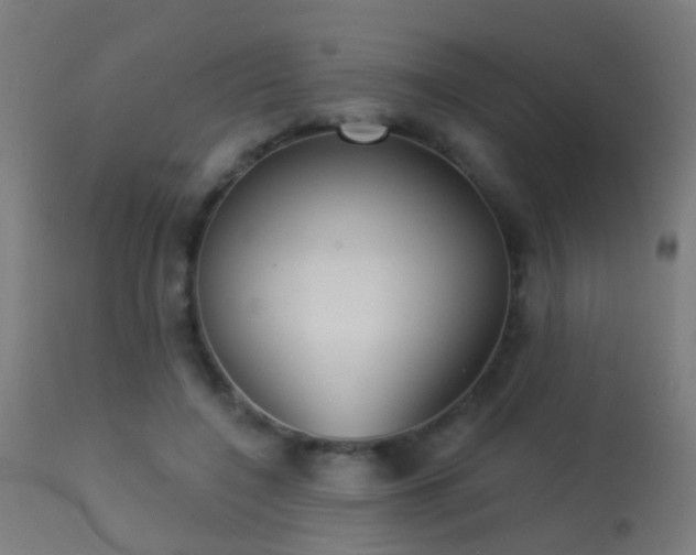 X0000113280548200909211042