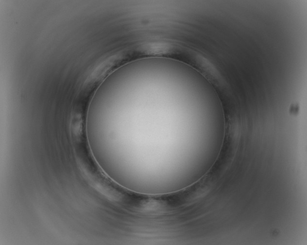 X0000113280549200909211042