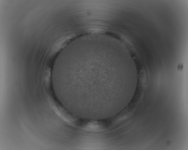 X0000113280550200909211042