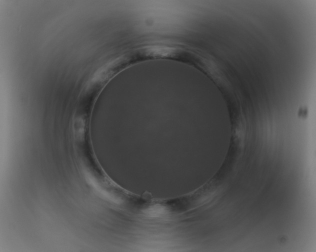 X0000113280551200909211042