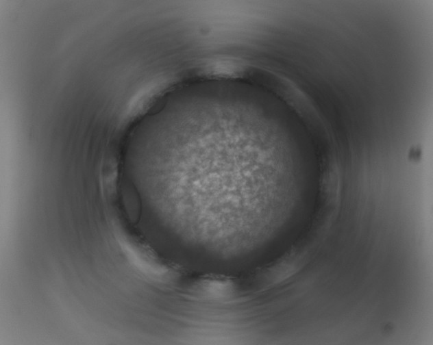 X0000113280552200909211042