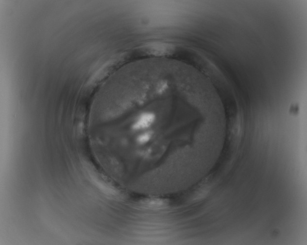 X0000113280553200909211042